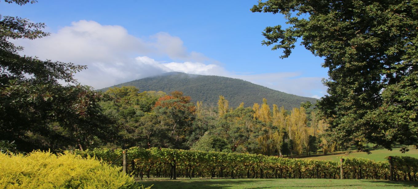 Grampians Image