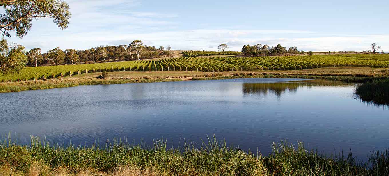 Tasmania Image