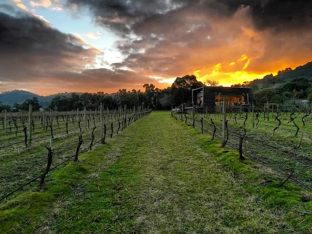 Steels Gate Wines