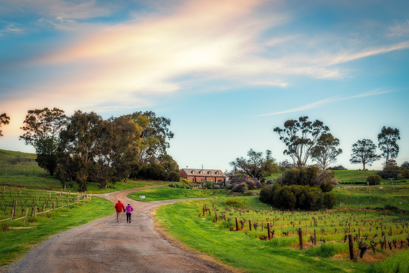 Bethany Wines